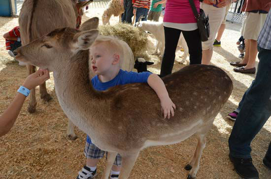 Saturday was a fun-filled day at the Annual...